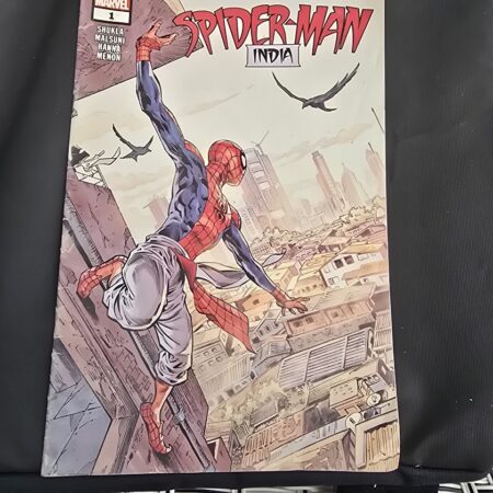 Spiderman India